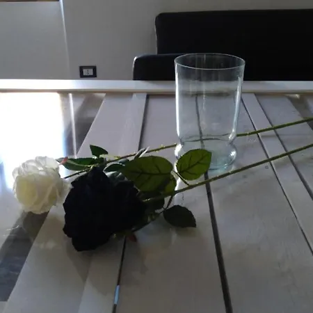 Black&white איגלסיאס